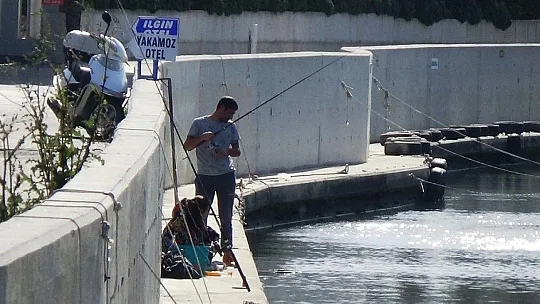 Bodrum'da kısıtlamalı deniz keyfi