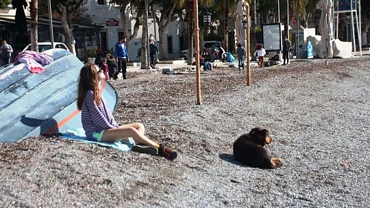 Bodrum'da kısıtlamaya rağmen denize girdiler, balık tuttular