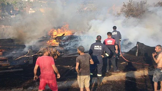Bodrum'da korkutan yangın