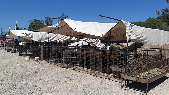 Bodrum'da kurban kesim yerleri bayrama hazır
