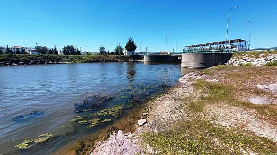 Bodrum'da kuruyan baraj yüzde 100 doluluk oranını yakaladı