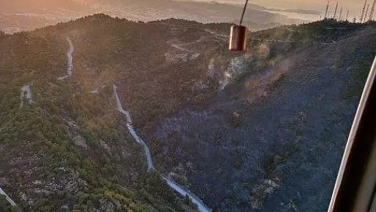Bodrum'da makilik alanda yangın