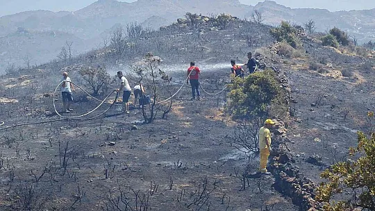 Bodrum'da makilik alanda yangın çıktı