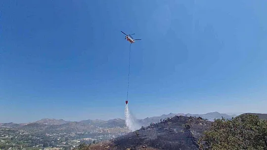 Bodrum'da makilik alanda yangın çıktı