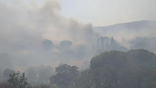 Bodrum'da makilik yangını