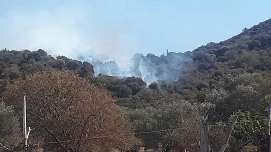 Bodrum'da makilik yangını
