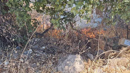 Bodrum'da makilik yangını