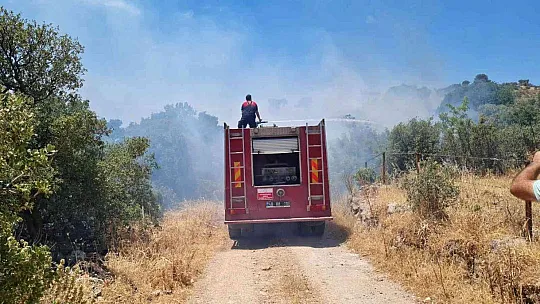 Bodrum'da makilik yangını