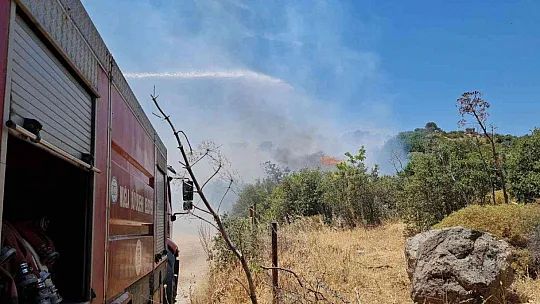 Bodrum'da makilik yangını