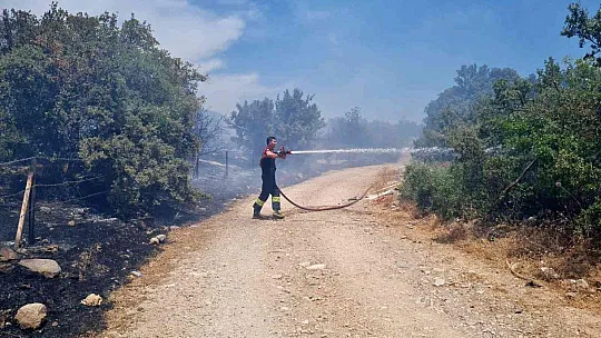 Bodrum'da makilik yangını
