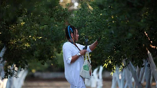 BODRUM'DA MANDALİNALARA DİJİTAL KİMLİK VERİLECEK