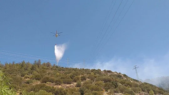 Bodrum'da orman yangını