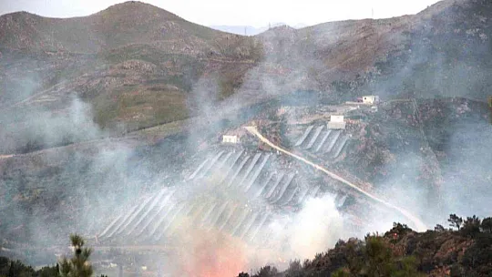 Bodrum'da orman yangını