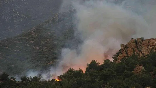 Bodrum'da orman yangını