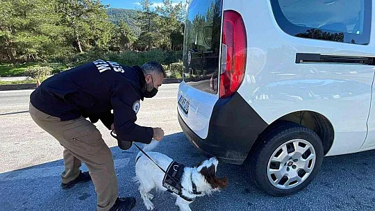 Bodrum'da oteller doldu, trafik kilitlendi, denetimler iki katına çıktı