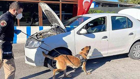 Bodrum'da oteller doldu, trafik kilitlendi, denetimler iki katına çıktı