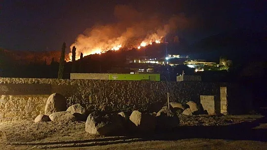 Bodrum'da otluk ve makilik alanda yangın