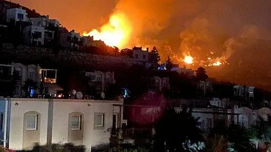 Bodrum'da otluk ve makilik alanda yangın