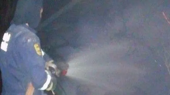 Bodrum'da otluk ve ağaçlık alanda yangın çıktı