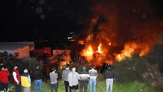 Bodrum'da pelet fabrikası alev alev yandı