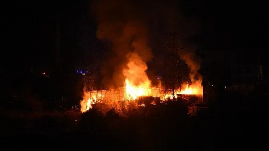 Bodrum'da pelet fabrikası alev alev yandı