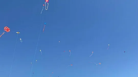 Bodrum'da renkli uçurtma festivali