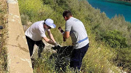 Bodrum'da sahil ve yol kenarları atıktan temizlendi