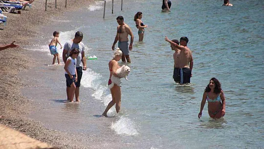 Bodrum'da sahiller hareketlendi