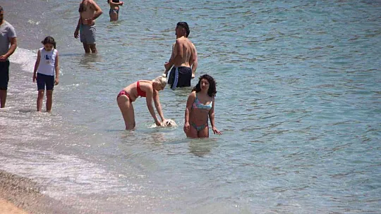 Bodrum'da sahiller hareketlendi