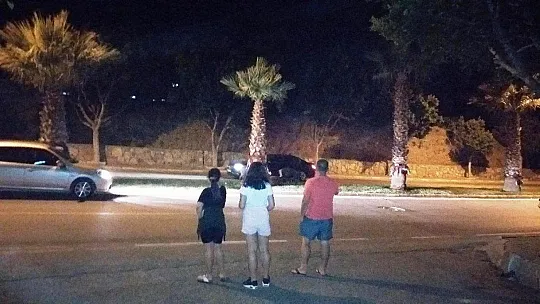 Bodrum'da şehre inen domuz ailesi ilgi odağı oldu