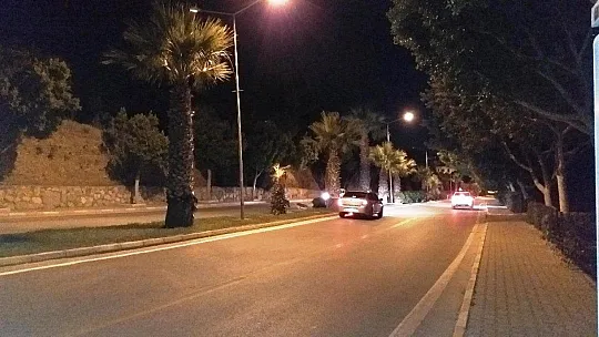 Bodrum'da şehre inen domuz ailesi ilgi odağı oldu