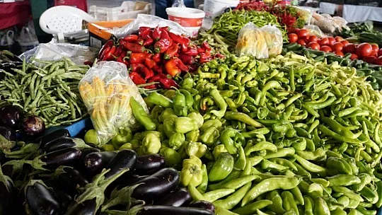 Bodrum'da üretici pazarına ilgi her geçen gün artıyor