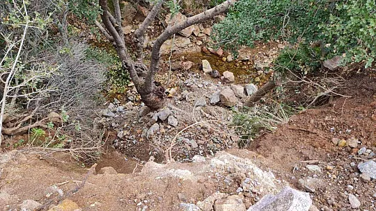 Bodrum'da yanan alanlara hafriyat dökülmesine ses yükselttiler