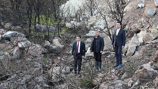 Bodrum'da yanan ormanlık alan kaçak hafriyatla doldu