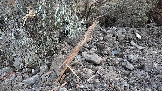 Bodrum'da yanan ormanlık alan kaçak hafriyatla doldu