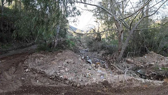 Bodrum'da yanan ormanlık alan kaçak hafriyatla doldu