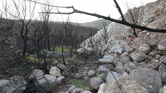 Bodrum'da yanan ormanlık alan kaçak hafriyatla doldu