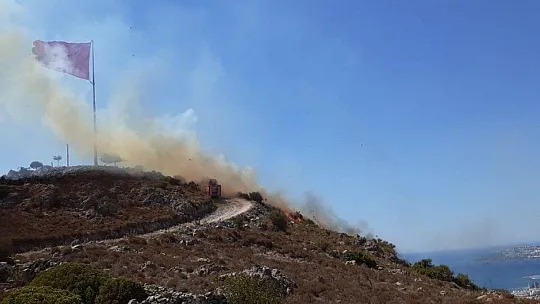 Bodrum'da yangın