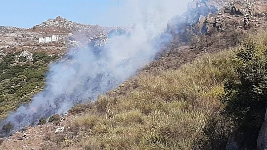 Bodrum'da yangın