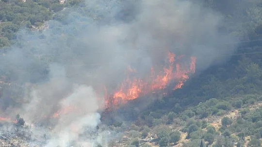 Bodrum'da yangınlar büyüyor, bazı ev ve oteller tahliye ediliyor