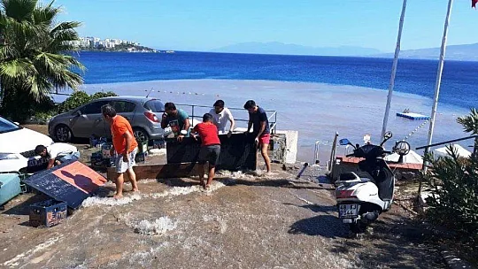 Bodrum'da yollar dereye duvarlar şelaleye döndü