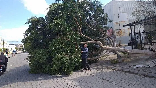Bodrum'daki fırtına balıkçı teknelerini batırdı, dalgaların boyu 2 metreyi aştı