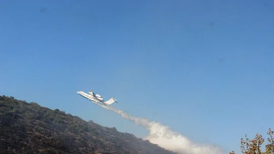 Bodrum'daki orman yangını 5 saatte kontrol altına alındı