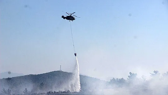 Bodrum'daki orman yangını 5 saatte kontrol altına alındı