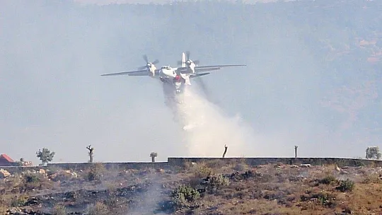 Bodrum'daki orman yangını 5 saatte kontrol altına alındı