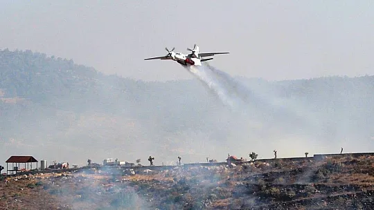 Bodrum'daki orman yangını 5 saatte kontrol altına alındı