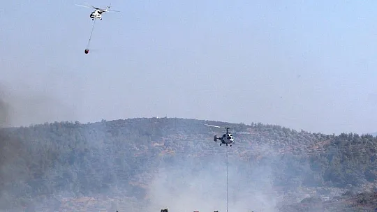 Bodrum'daki orman yangını 5 saatte kontrol altına alındı