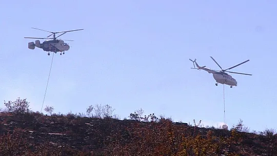 Bodrum'daki orman yangını 5 saatte kontrol altına alındı