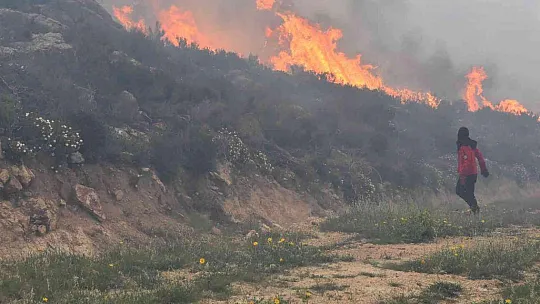 Bodrum'daki orman yangını 6 saat sonunda kontrol altına alındı