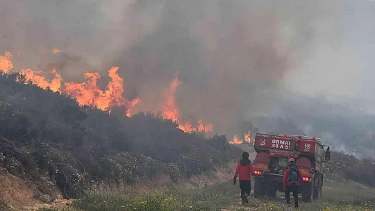 Bodrum'daki orman yangını 6 saat sonunda kontrol altına alındı